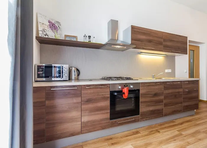 トップ ヴァーツラフ スクエア アパートホテル 3*